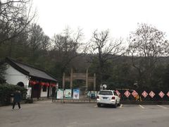 -镇江市南山风景名胜区竹林景区