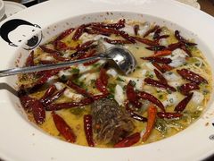 -首秀·四川料理(星耀101店)