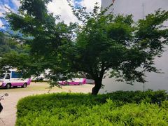 -五龙源极限漂流