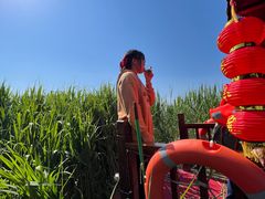 -白洋淀景区