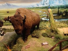 -陕西自然博物馆