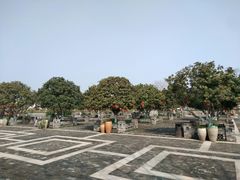 -嬉乐湾休闲旅游区