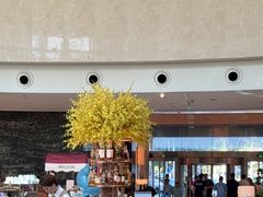 -Plush大堂酒廊(北京金融街威斯汀大酒店)