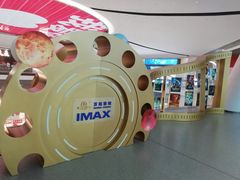 -万达影城(汉街万达广场IMAX店)