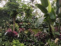 -北京植物园-展览温室