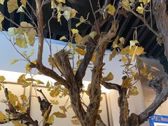 -京味斋·烤鸭·北京菜(安贞店)