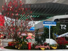 -广州白云国际机场-T2航站楼