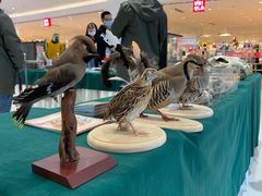 -丽达购物中心(崂山店)