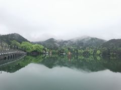 -望庐说·本地菜馆
