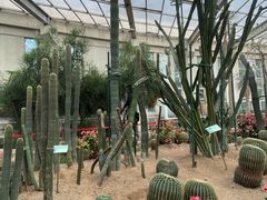 -石家庄市植物园