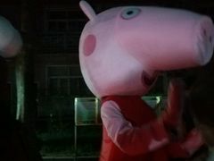 -青山公园萤火虫科普展