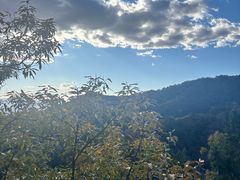 -北京十三陵国家森林公园蟒山景区