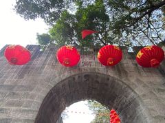 -李子坝梁山鸡(李子坝大鸡哥店)