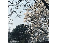 -留园