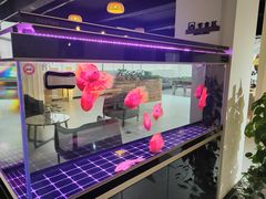 -上海和展广汽丰田4S店(老闵行店)