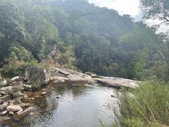 -海南热带雨林国家公园吊罗山景区