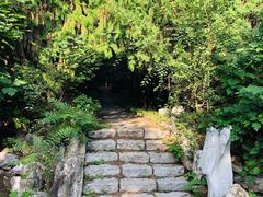 -云岗森林公园