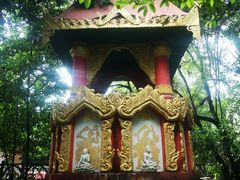 -瑞丽独树成林风景区