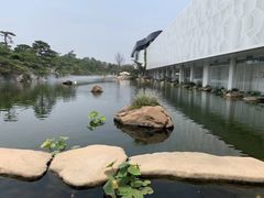 -罗红摄影艺术馆