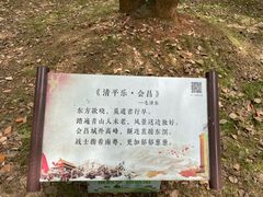 -东山香樟园