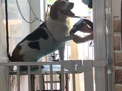 -美美酱宠物(外运路小区店)