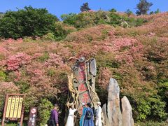 -木兰云雾山