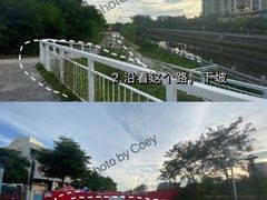 -宝安西湾红树林湿地公园