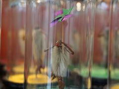 -老北京兔儿爷(琉璃厂东街店)