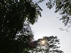 -王借岗森林公园
