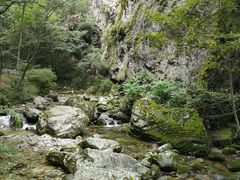 -牛背梁国家森林公园