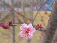 -河海大学(江宁校区)