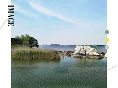 -上海吴淞炮台湾国家湿地公园