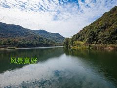 -桃花岭景区