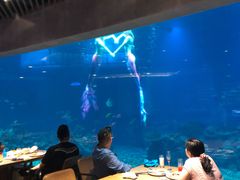 -海棠湾洲际-涛·海底餐厅·美人鱼·自助餐·海底隧道