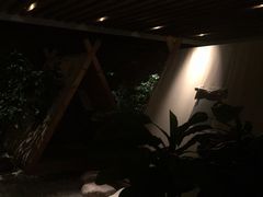-清水湾足道馆