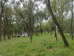 -森林公园(尖草坪区)