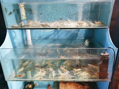 水产区-Thai Basil罗勒叶泰式餐厅(时代天街店)