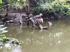 -汇龙潭