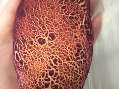 -浓心爷爷·现烤面包(荔胜广场店)