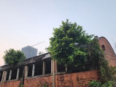 -星巴克(信达城店)