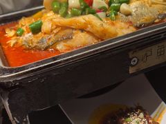 -炉鱼(亲橙里店)
