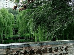 -元大都城垣遗址公园