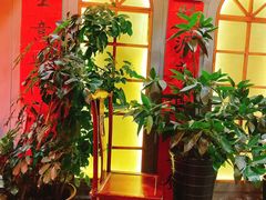 -万里闯关东铁锅炖菜馆(高新旗舰店)
