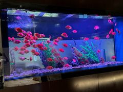 -九洲喜来登酒店湖月日餐厅