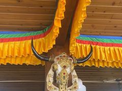 -银同牦牛肉火锅