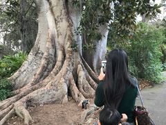 景点-墨尔本皇家植物园