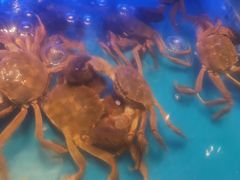-SEA西雅图海鲜自助餐厅(海乐世界店)