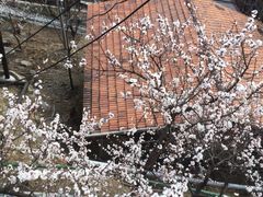 iphone_upload_pic-北京水岸山吧度假村(雁栖镇店)
