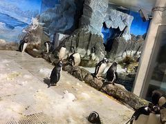 -成都浩海立方海洋公园