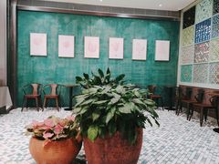 -百年果林椰子鸡(中洲店)